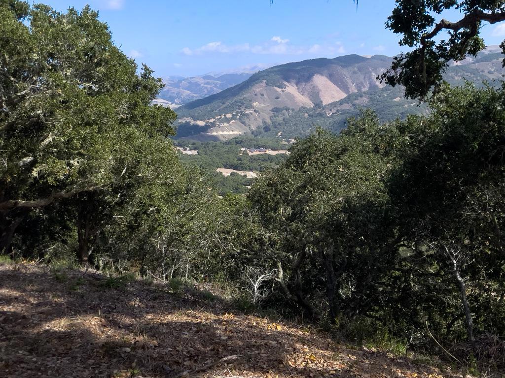 MLS #ML81990616 image #9