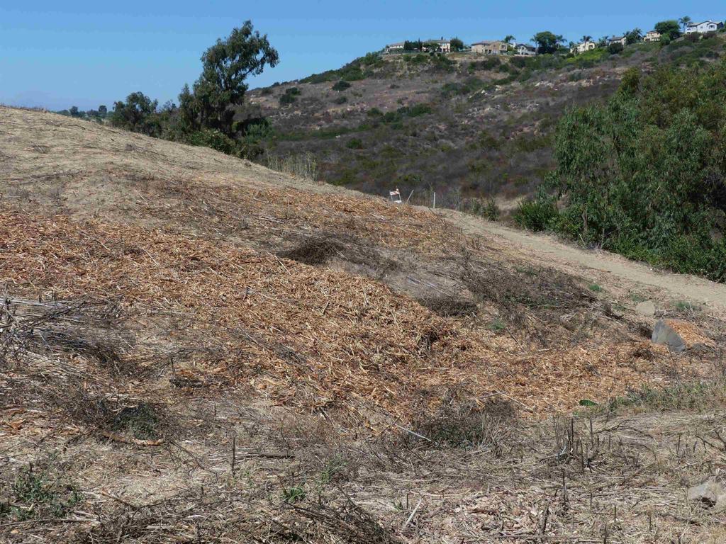 Paradise Glen Way San Marcos - photo 17