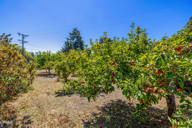 Detail Gallery Image 30 of 43 For 18700 Hare Creek Ter, Fort Bragg,  CA 95437 - 3 Beds | 0 Baths