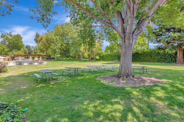 7179 Via Maria, San Jose CA: https://media.crmls.org/mediaz/4cf16237-338d-444e-8651-f707e9ba2dcf.jpg