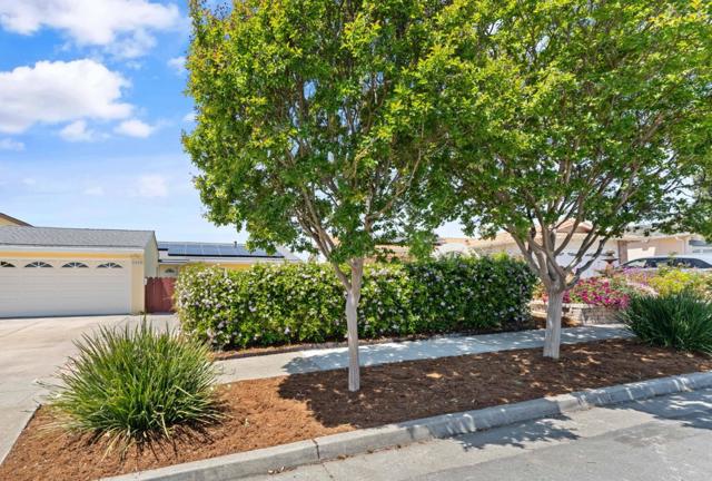 3173 Hostetter Road, San Jose CA: https://media.crmls.org/mediaz/4cf65548-9e7a-4095-8f99-c9078282241f.jpg