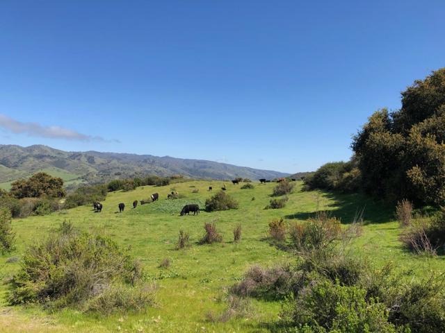 0 Creek Ranch, Carmel Valley Road, Carmel Valley CA: https://media.crmls.org/mediaz/4cf78197-0fd4-4037-a405-71e61f4a9af4.jpg