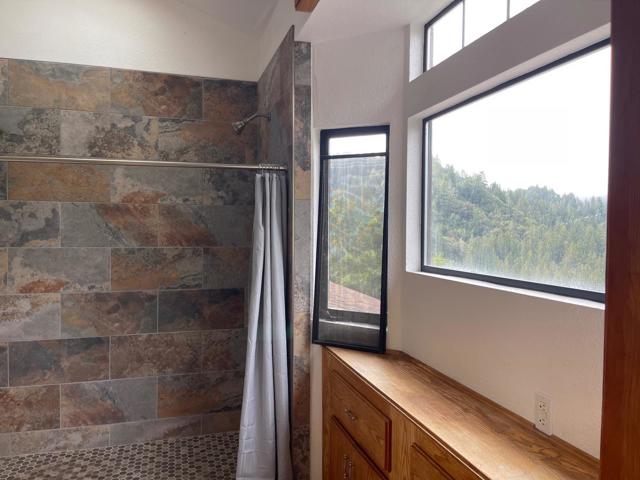450 Hawk Ridge Road, Boulder Creek CA: https://media.crmls.org/mediaz/4cf845a0-5448-4365-a0e4-4e6cc739d6f0.jpg