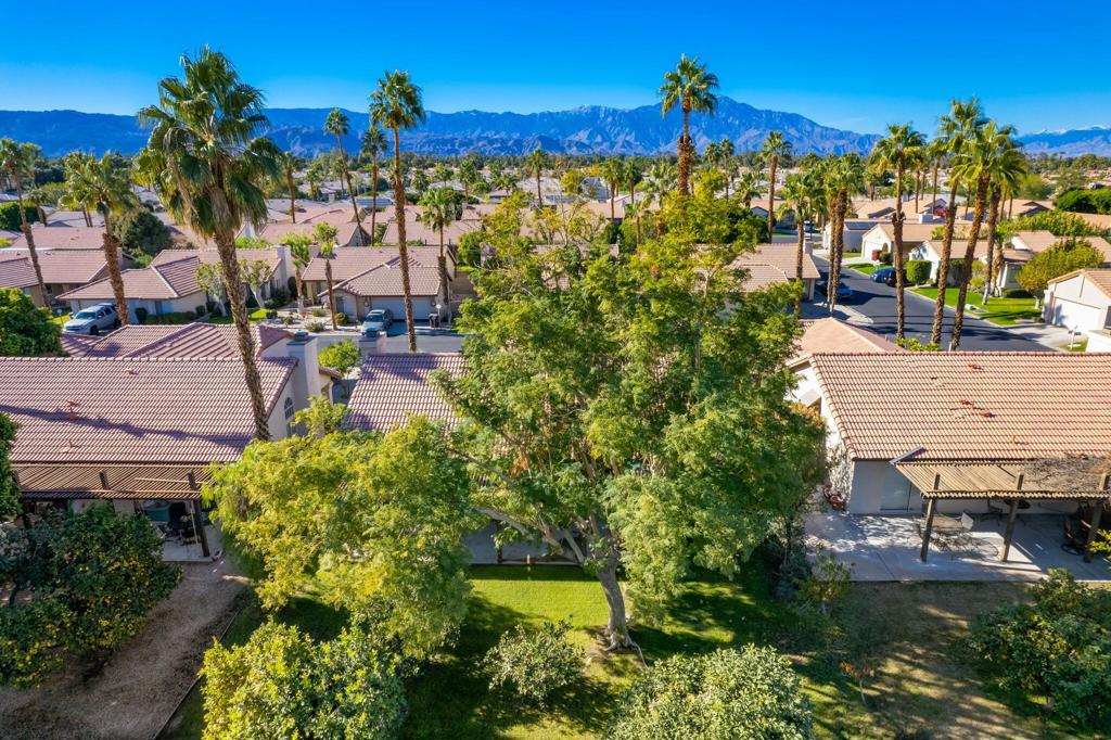 MLS #219125344DA image #5