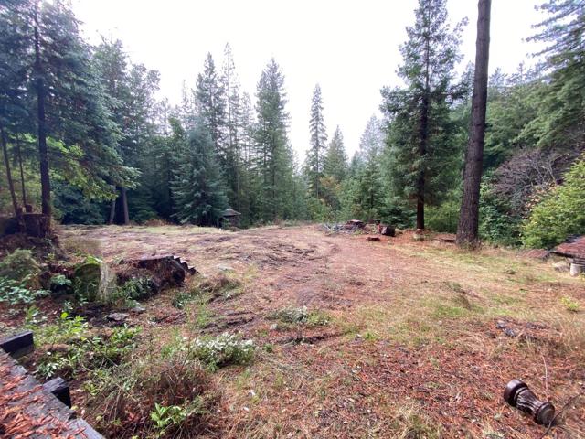 320 Timber Cove, Boulder Creek CA: https://media.crmls.org/mediaz/4d105791-df11-4ac0-bb08-702751d37bc8.jpg