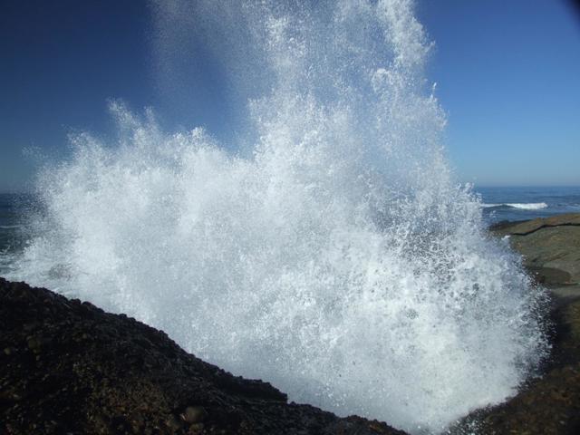 10247 Cabrillo Highway, Pescadero CA: https://media.crmls.org/mediaz/4d19adf7-2e0b-42b3-92f5-46e6c149b015.jpg