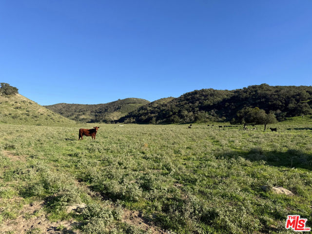 Image 14 of 33 For 1701 Hwy 246