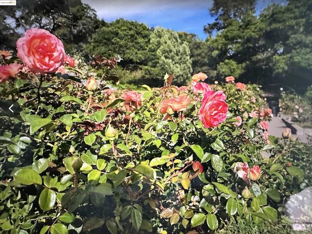 567 Oakland Ave., Oakland CA: https://media.crmls.org/mediaz/4d206b88-33c6-4d68-8371-1caec18d8845.jpg