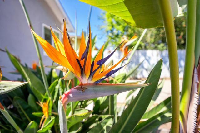 140 Suburbia Avenue, Santa Cruz CA: https://media.crmls.org/mediaz/4d3bf0ca-7b98-4b16-a9a3-860e7b335e79.jpg