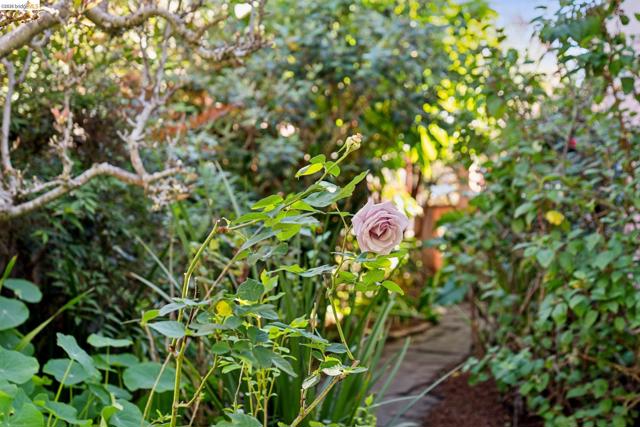 Image 14 of 29 For 2520 Mcgee Ave