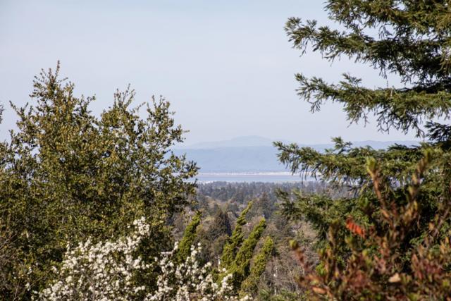 11569 Arroyo Oaks Drive, Los Altos Hills CA: https://media.crmls.org/mediaz/4d416ca3-05ac-44a6-9f10-67dfcb4892a8.jpg