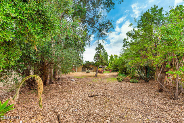 15546 Olden Street, Sylmar CA: https://media.crmls.org/mediaz/4d527988-1129-4237-800b-21f69e623ef4.jpg
