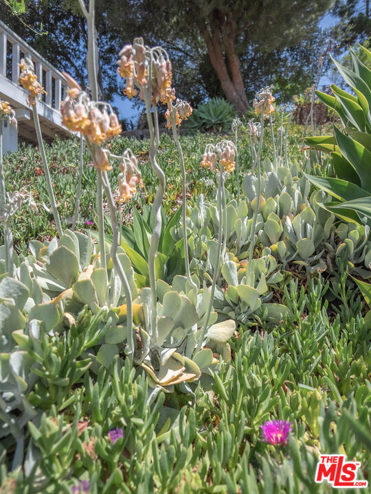 https://media.crmls.org/mediaz/4d57f517-4216-46aa-93e8-c0e80779d8ab.jpg?preset=X-Large