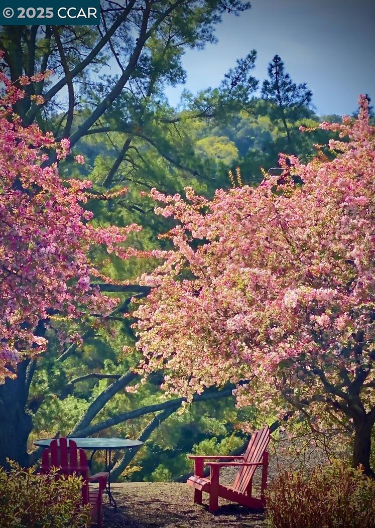 https://media.crmls.org/mediaz/4d5cceb7-b15f-417f-a24a-de573883087f.jpg?preset=X-Large