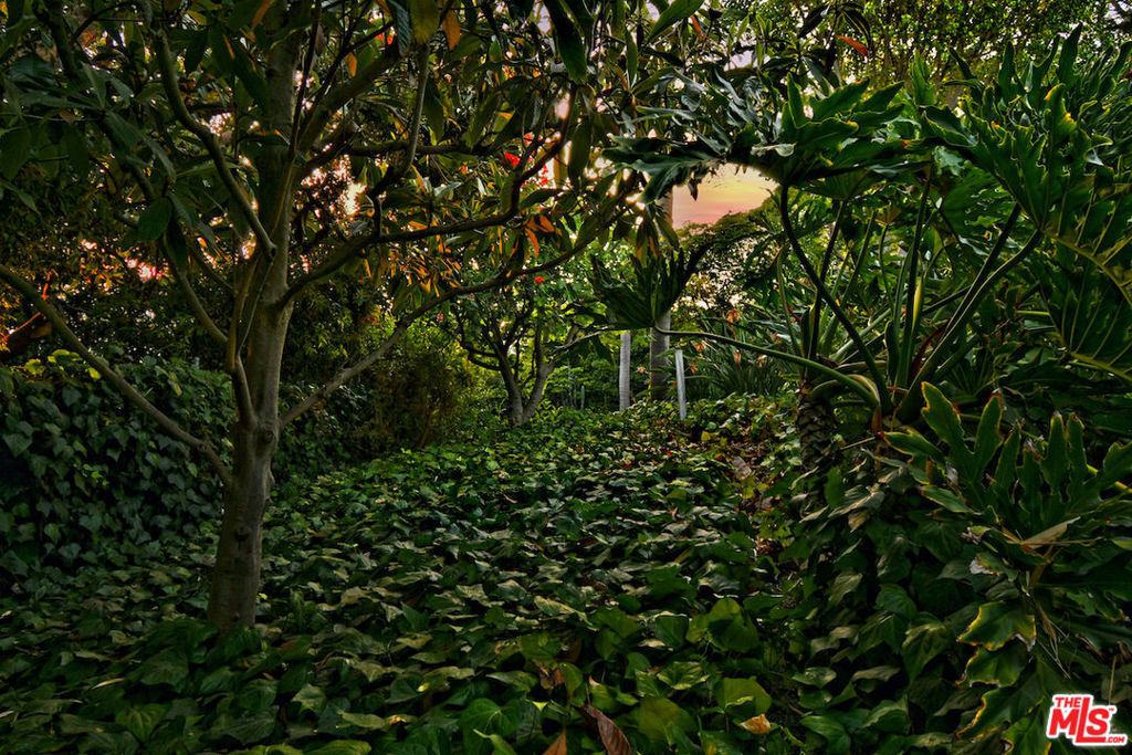 https://media.crmls.org/mediaz/4d5df0a8-a573-4d9c-839d-661b732ae653.jpg?preset=X-Large