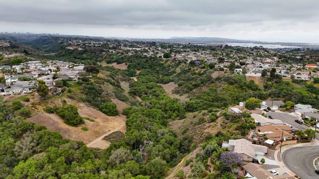 Detail Gallery Image 61 of 68 For 4380 Rolfe Rd, San Diego,  CA 92117 - 3 Beds | 2 Baths