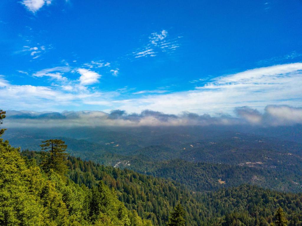 MLS #ML82029140 image #42