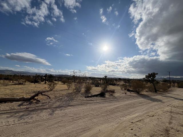 0 Campanula Street, Yucca Valley CA: https://media.crmls.org/mediaz/4d6cb4a9-ebdb-4d19-a161-197ee8ae90b2.jpg
