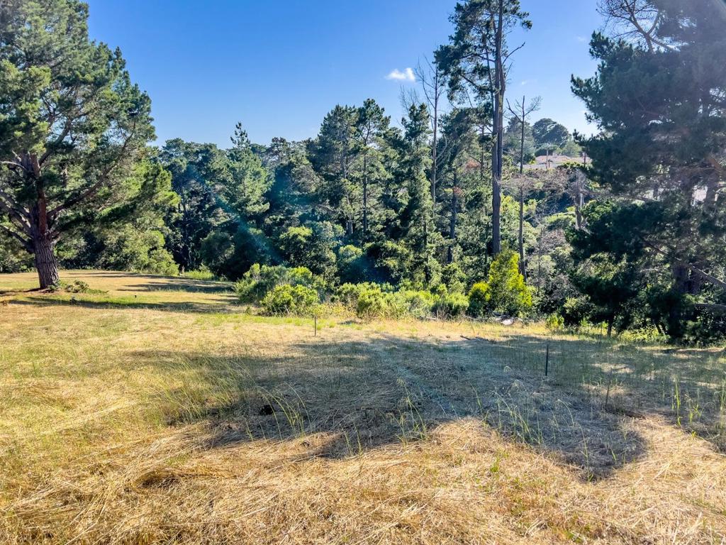 MLS #ML81971263 image #10