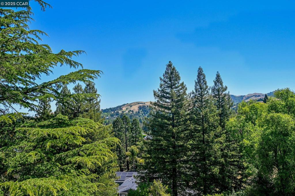 https://media.crmls.org/mediaz/4d7931e4-ec02-40be-825b-f56989f4883a.jpg?preset=X-Large