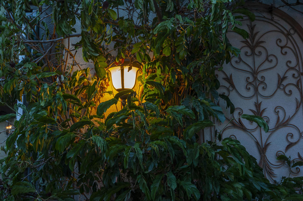 https://media.crmls.org/mediaz/4d7b7b46-4712-4a3c-85d4-4e3cc32a4bd3.jpg?preset=X-Large
