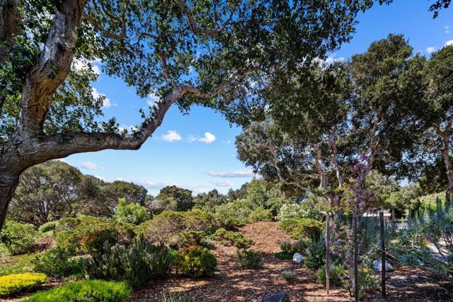 Image 1 of 36 For 25485 Via Paloma