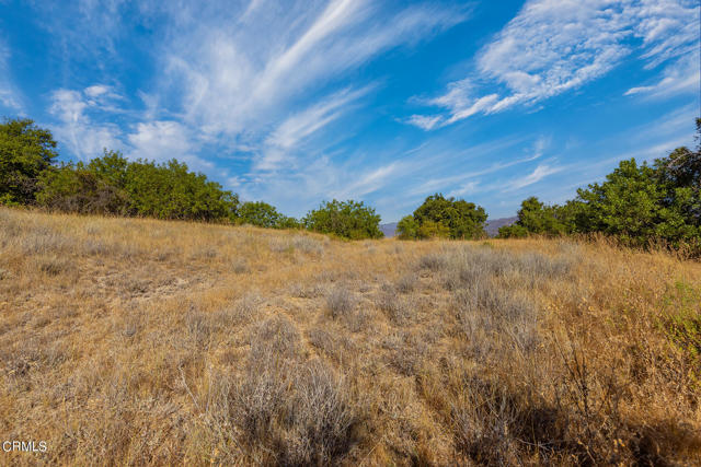 Detail Gallery Image 18 of 22 For 10331 Sulphur Mountain Rd, Ojai,  CA 93023 - – Beds | – Baths