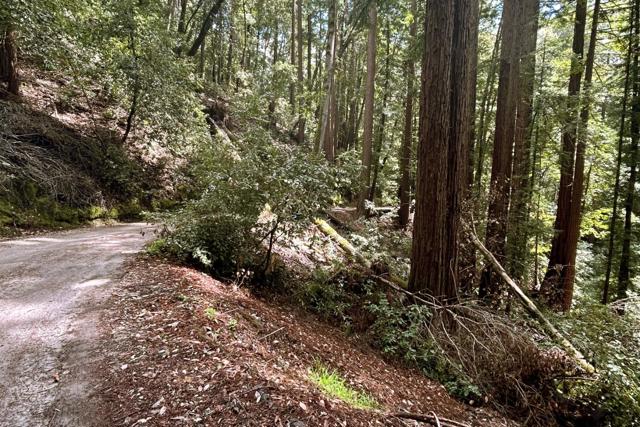 0 Hermit Ranch Road, Ben Lomond CA: https://media.crmls.org/mediaz/4d950b51-18ea-4759-bfae-90dd4ed13136.jpg