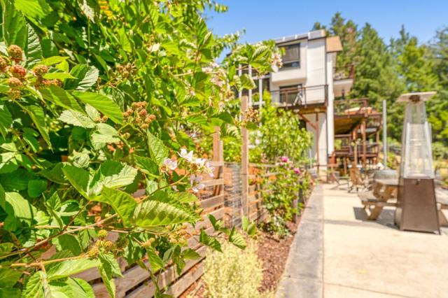 55 Hidden Meadow Lane, Scotts Valley CA: https://media.crmls.org/mediaz/4d9b7ce0-06c4-4ec6-925b-803767ed97a3.jpg