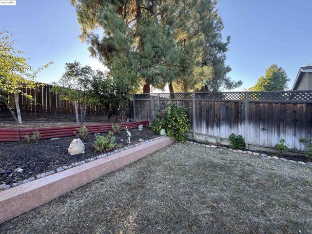 View of fenced backyard