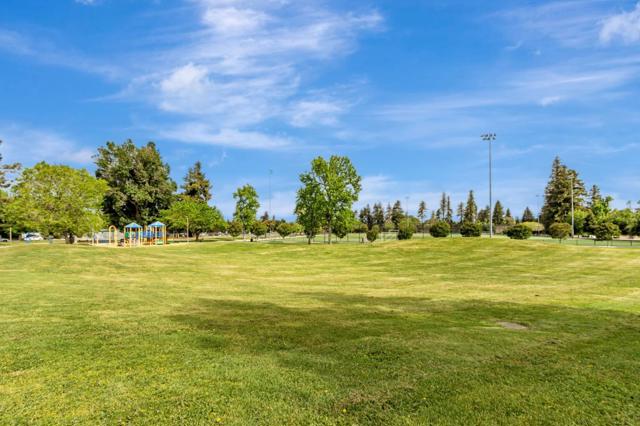 529 Park Meadow Court, San Jose CA: https://media.crmls.org/mediaz/4da8ab9c-9d29-4bee-b614-0390c05ac887.jpg