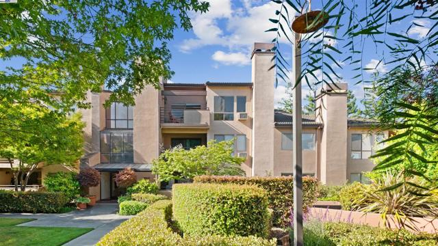 39219 Guardino Dr, Fremont CA: https://media.crmls.org/mediaz/4db1bd46-ffc1-4fbc-b069-fcc8f5a138a7.jpg
