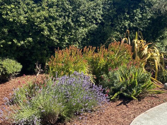 135 Seabreeze Place, Aptos CA: https://media.crmls.org/mediaz/4dc1e43d-c0e7-44c4-873b-34005e3aae5d.jpg