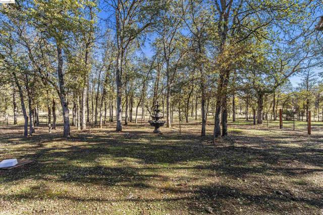 Image 35 of 40 For 8585 Whispering Oaks Rd