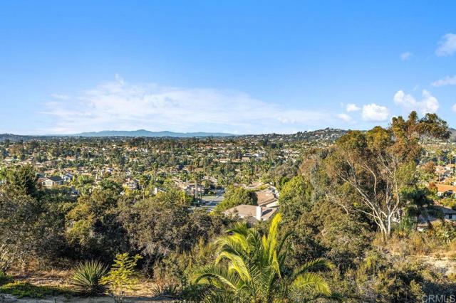 Detail Gallery Image 1 of 1 For 1639 Glen Hollow Ct, Encinitas,  CA 92024 - 3 Beds | 2 Baths