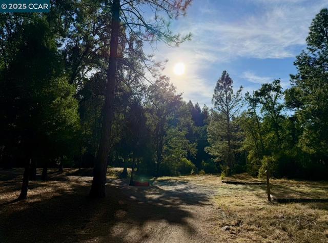 4578 Pretty Good Rd, Placerville CA: https://media.crmls.org/mediaz/4ddd5833-5001-40b5-990e-630b4ae49e97.jpg