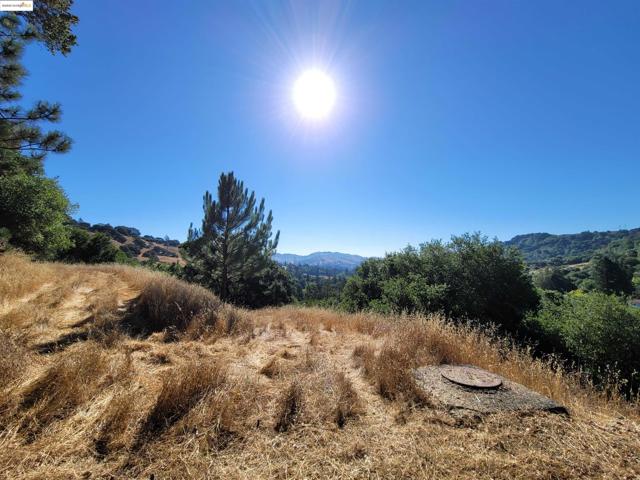 40 Hilldale Ct, Orinda CA: https://media.crmls.org/mediaz/4de2e81e-02dd-403c-9ccf-e57a8e42d437.jpg