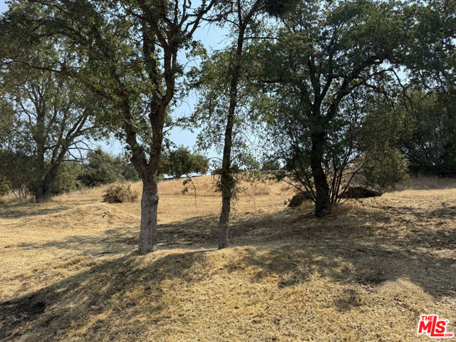 31199 Rolling Meadow Court, Coarsegold CA: https://media.crmls.org/mediaz/4de4da65-ac65-4d89-8550-92afd9534121.jpg