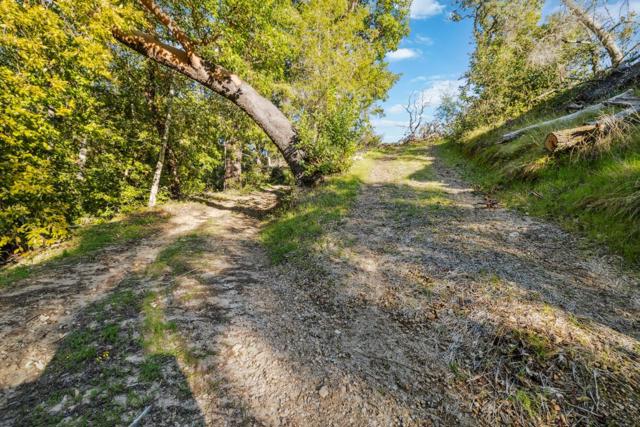 0 Hartman Creek, Boulder Creek CA: https://media.crmls.org/mediaz/4dea1d35-30f2-4f1f-9fab-2d272eea00fe.jpg