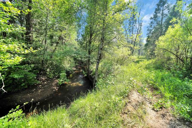 13567 Raccoon Mountain Rd, Grass Valley CA: https://media.crmls.org/mediaz/4dfae2f7-c0f2-4110-b329-ec88d27ed0b0.jpg