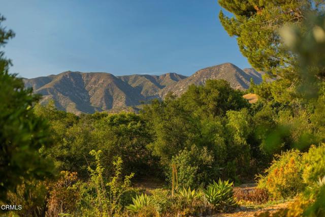 Detail Gallery Image 44 of 52 For 1881 Meiners Rd, Ojai,  CA 93023 - 5 Beds | 3 Baths