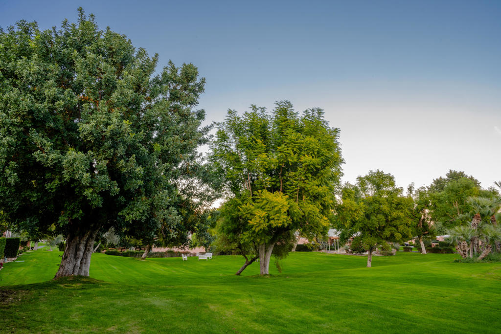 MLS #219139923DA image #34