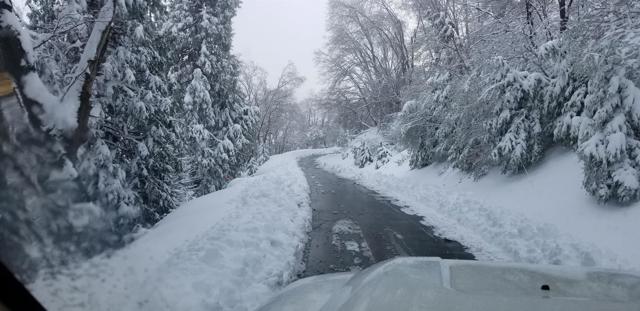 0 Conifer Lane, Palomar Mountain CA: https://media.crmls.org/mediaz/4e093952-faad-4436-b914-73aec6da9e98.jpg