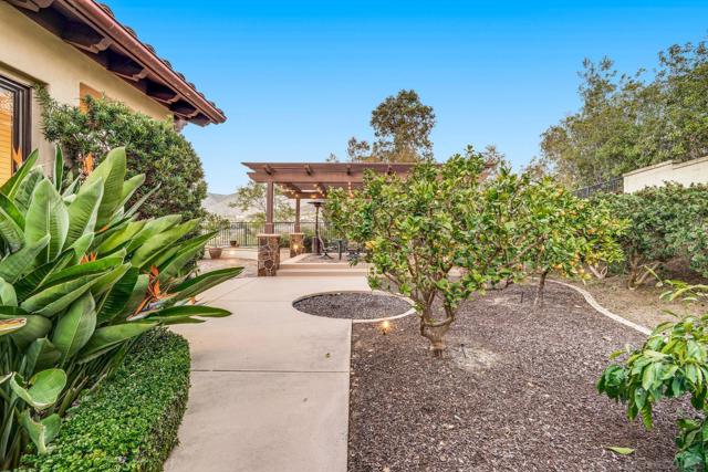 Backyard citrus grove with mature fruit trees, lush greenery, and a spacious patio. A serene outdoor retreat perfect for relaxation and entertaining.