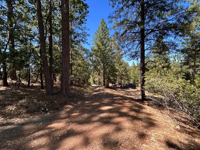 1720 Jacobs Way, Placerville CA: https://media.crmls.org/mediaz/4e2639db-c9c2-48bf-8805-bd8f4a5a6f3e.jpg