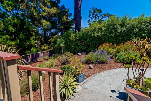135 Seabreeze Place, Aptos CA: https://media.crmls.org/mediaz/4e2bc0c1-274a-4ece-b9f4-cee14e5855ea.jpg