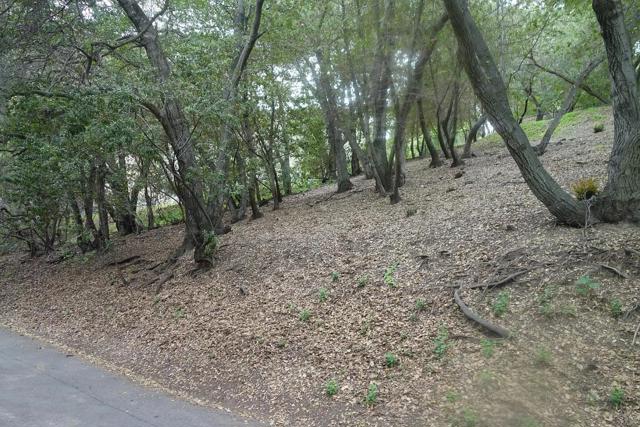 0 Greenridge Terrace, Los Gatos CA: https://media.crmls.org/mediaz/4e314bb4-c386-4321-b6a9-3732e115ebe3.jpg