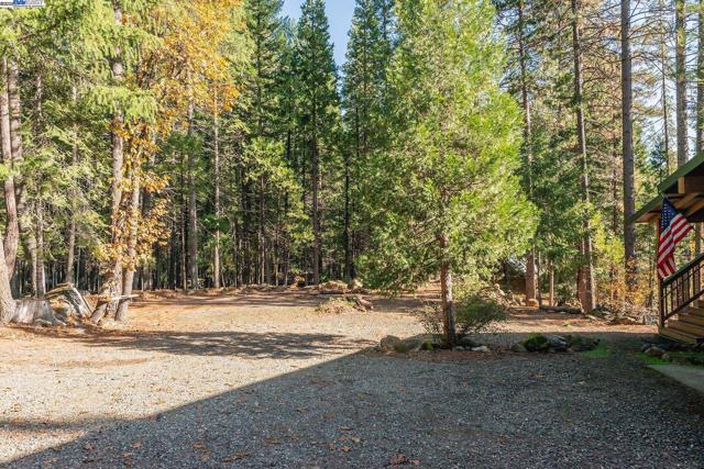 851 Mountain Aire Lane, Trinity Center CA: https://media.crmls.org/mediaz/4e344458-1cca-43df-9232-f4a570e6f53a.jpg
