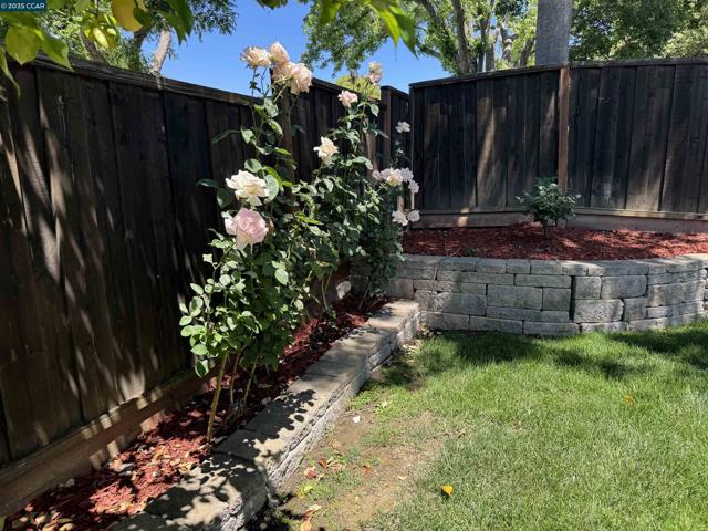 898 Luxury Dr, Concord CA: https://media.crmls.org/mediaz/4e3685f5-50ab-495b-a659-ac39e5267e6c.jpg