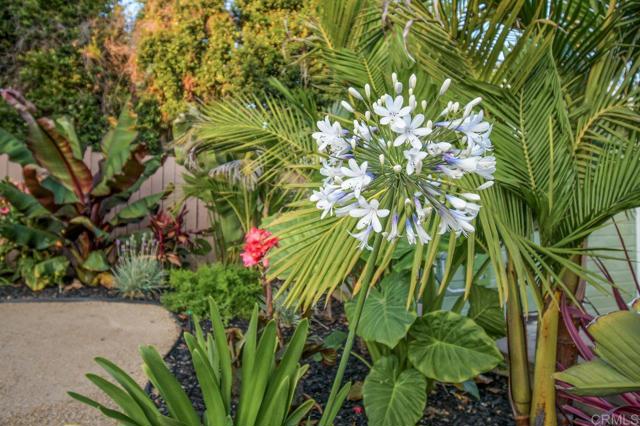 Detail Gallery Image 20 of 67 For 6929 Wyoming Ave, La Mesa,  CA 91942 - 3 Beds | 2/1 Baths